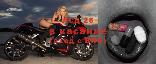 дмт Бородино