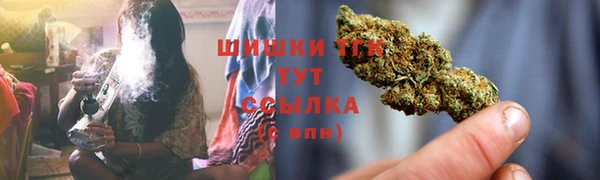 СК Богородицк