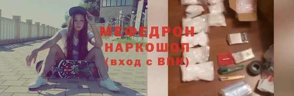 дмт Бородино