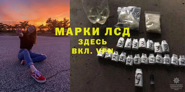спайс Богданович