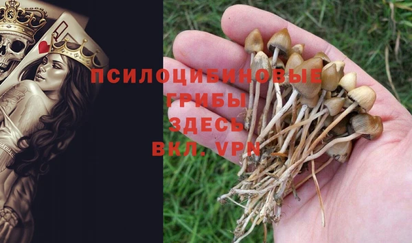 дмт Бородино