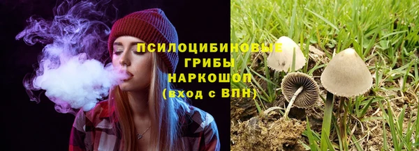 СК Богородицк