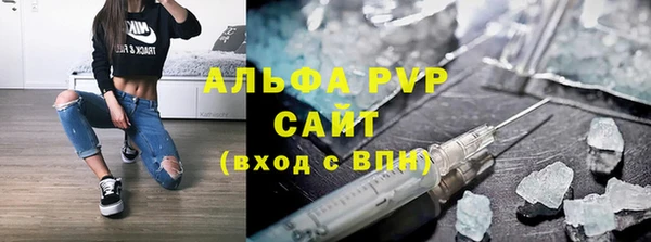 дмт Бородино